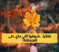 عاجل: الخريف يقتحم الوطن العربي رسمياً اليوم… أمطار رعدية وتقلبات مناخية صادمة قادمة!