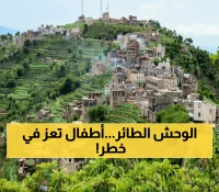عاجل: حيوان مفترس نادر يغزو تعز بسرعة 80 كم/ساعة... السكان يحذرون: أطفالكم في خطر!
