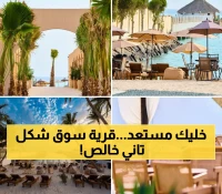 عاجل: موسم جدة 2025 يكشف أسرار "قرية سوق"... مأكولات بحرية تحت النجوم والمياه الفيروزية!