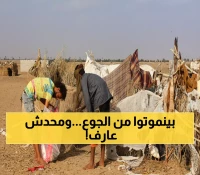 تحذير مرعب من الأمم المتحدة: نصف سكان اليمن يواجهون المجاعة... والموت قادم!