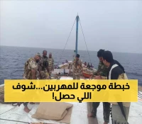 إعلان: إحباط عملية تهريب بحرية ضخمة في أبين قادمة من عُمان
