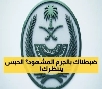 عاجل: السعودية تطارد 22 ألف مخالف بلا استثناء... عقوبات تصل لـ15 سنة ومليون ريال!