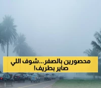 تحذير عاجل: ضباب خطير يلغي الرؤية نهائياً في طريف… السلطات تحذر من كارثة محتملة!