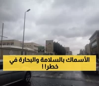 تحذير: رياح تبوك تصل لـ49 كم/ساعة وتهدد الرؤية… هل ستلغى الرحلات البحرية في أملج؟