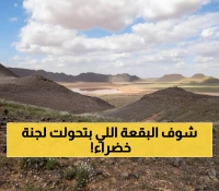 عاجل: محمية الملك سلمان تحقق المعجزة البيئية - 750 ألف هكتار عادت للحياة!