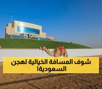 مذهل: هجن السعودية قطعت 2520 كيلومتراً في 580 شوطاً... رقم يفوق المسافة من الرياض لدبي!