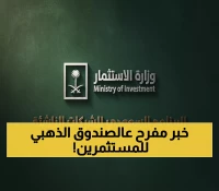 عاجل: السعودية تطلق "صندوق الذهب" للشركات الناشئة - 12 قطاع تقني يحصد مليارات رؤية 2030!