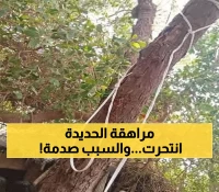 صادم بالحديدة: حوثي يدمر حياة فتاة ويدفعها للانتحار - الشرطة تعتقله والعدالة مجهولة!