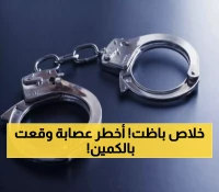 عاجل: ضربة أمنية قاصمة تُسقط شبكة مخدرات ضخمة… 20 متهماً و400 كجم مخدرات في 3 مناطق!