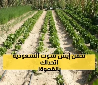 عاجل: السعودية تهز عالم القهوة بـ146 مليون ريال... إنجاز يجعلها تنافس إثيوبيا وكولومبيا!