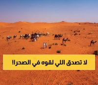 عاجل: منحوتات عمرها 12 ألف عام تكشف سر الحضارة المفقودة في صحراء السعودية
