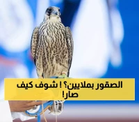 صادم: كيف حولت السعودية الصقور إلى كنوز تساوي 1.2 مليون ريال - ولي العهد يقود ثورة مليونية!