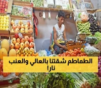 عاجل: أسعار الخضار والفواكه اليوم في عدن... الطماطم تصل 33 ألف ريال والعنب الرازقي يحطم الأرقام!