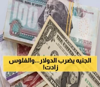 صادم: الجنيه يقهر الدولار لأول مرة منذ مارس... احتياطي مصر يقفز لـ49.5 مليار!