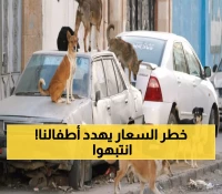 عاجل من مستشفى ذمار: داء السعار يقتل 3 أطفال في 8 أشهر... هل أطفالكم في خطر؟
