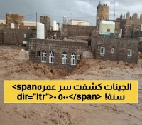صادم: الحمض النووي يفضح رحلة 5220 عاماً مدفونة في جينات اليمنيين - أسرار تجارة الرقيق تظهر لأول مرة!