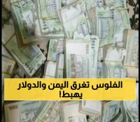 عـاجل : ملايين الريالات تغزو اليمن بدعم من دولة خليجية وسعر الصرف سينهار إلى حدود لا تُصدق خلال أيام !!