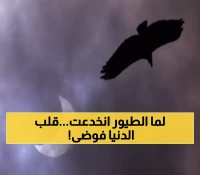 عاجل: اكتشاف صادم! 4 دقائق ظلام تخدع ملايين الطيور... ماذا فعلت عندما ظنت الفجر عاد؟