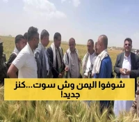 إنجاز تاريخي.. مزارعون يمنيون ينجحون في زراعة محصول ثمين سيدفع الاقتصاد اليمني إلى العالمية !!
