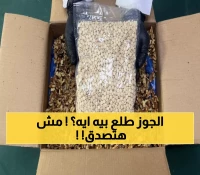 عاجل: ضبط كنز مخدرات بـ 2 مليون قرص مخبأ داخل الجوز بالرياض... العملية صدمت الجميع!