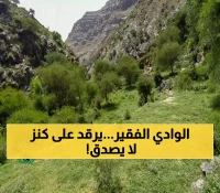 اكتشافات "وادي القهرة" الفقير: يحتضن كنز اليمن المخفي ويسبح فوق نصف احتياطي البلاد من ثروات اليورانيوم والذهب والغاز المسال !