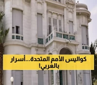 حصري: العلماء يكشفون أسرار "المقصورة العربية" لأول مرة - حضارة التاريخ عربية!