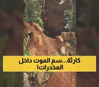 مرعب: عصابات تطحن جماجم الموتى وتخلطها بالمخدرات... والسلطات صامتة!