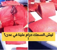 صادم: أسعار الأسماك في عدن تقفز لـ 12 ألف ريال... والمواطنون في حيرة!
