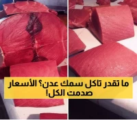 عاجل من عدن: قفزة جنونية في أسعار الأسماك اليوم... الديرك بـ24 ألف ريال - هل تحملها الأسر؟