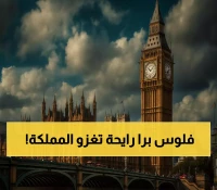 السعودية تلغي سقف الـ49% للاستثمار الأجنبي وتتوقع تدفقات بـ10.6 مليار دولار