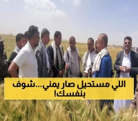 عاجل: مزارعو ريمة يحققون المعجزة - 100% نجاح في زراعة الزيتون خلال موسم واحد!