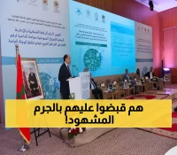عاجل: بلاوي يكشف نجاح باهر - ضبط 407 مبتز في حالة تلبس عبر خط التبليغ المباشر!