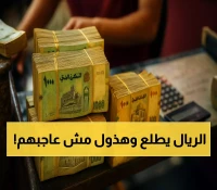 استقرار مفاجئ للريال اليمني.. تعرف على الإجراءات العاجلة والتسعيرة الإلزامية التي تهدد تراخيص الصرافين