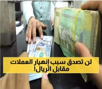 كشف عن سبب أنهيار العملات إمام الريال اليمني.. خبير اقتصادي يبوح بالسر المخفي عن الجميع !!