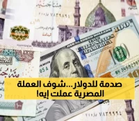 عاجل: خبراء فيتش يكشفون السر وراء قوة الجنيه المصري... العملات العربية تنتصر على الدولار!