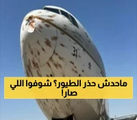 عاجل: طائرة سعودية تصطدم بسرب طيور مهاجرة - مشاهد صادمة تُلغي رحلة العودة من الجزائر!