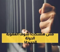 عاجل: حبس 6 أشهر وغرامة 5000 جنيه لكل من يكذب للحصول على دعم الدولة!