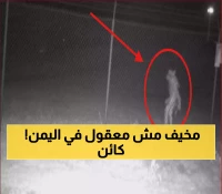عاجل: ظهور حيوان غريب في المحافظة اليمنية.. وتحذيرات عاجلة للمواطنين! (شاهد صورة)