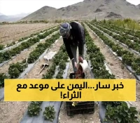 اكتشاف "الذهب الأحمر" في اليمن.. كنز بمليارات الدولارات يخرج من تحت الركام وسينهي فقر اليمنيين!