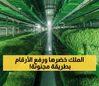 تاريخي: السعودية تحقق قفزة زراعية جنونية بـ118 مليار ريال - الأعلى على الإطلاق!