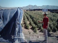 تحذير خطير: اليمن على موعد مع أبرد ليلة في العام... 1-7 درجات فقط!