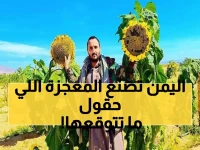 عاجل: اليمن يحقق طفرة زراعية تاريخية - إنتاج زيوت محلية تفوق المستورد وتوفر ملايين الدولارات!
