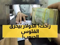 جنون لا يتوقف.. الدولار يحطم رقماً قياسياً جديداً ويهوي بالريال اليمني إلى هذا الحد الصادم لأول مرة في تاريخه!