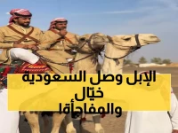 شاهد: رحلة أسطورية على الإبل من الأردن للسعودية تكريماً للملك الحسين - والاستقبال صادم!