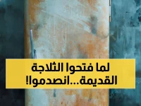 صادم: طلاب يفتحون ثلاجة عمرها 2000 عام... ما وجدوه بداخلها يعيد كتابة التاريخ!