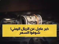 تعرف على أسعار الصرف الثابتة: الدولار 1630 والريال السعودي 428... استقرار نادر باليمن