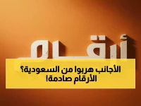 حصري: خريطة الاستثمار الأجنبي تنقلب في السعودية... 133 شركة تخسر مقابل 106!
