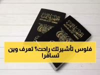 عاجل: الصدمة الكبرى للمواطنين اليمنيين... 8 دول فقط من 195 تفتح أبوابها مجاناً!