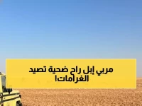 صادم: مواطن يدفع 4500 ريال غرامة بسبب 9 إبل… ما فعلته في المحمية الملكية كلفه ثروة!