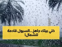 عاجل: الأرصاد تحذر... أمطار غزيرة وسيول تضرب الحدود الشمالية خلال 4 أيام!
